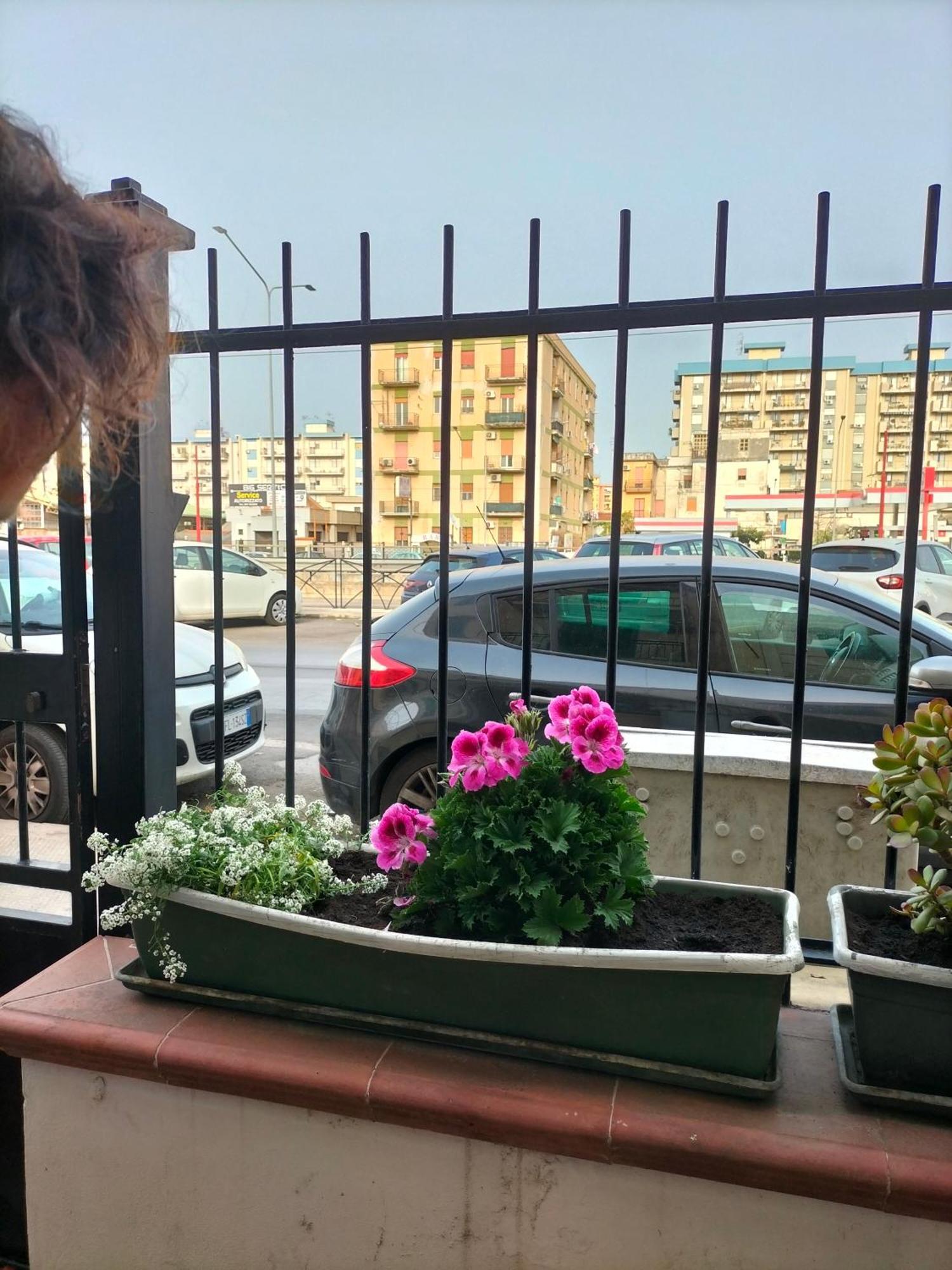Apartamento Ciuridda Mia Palermo Exterior foto