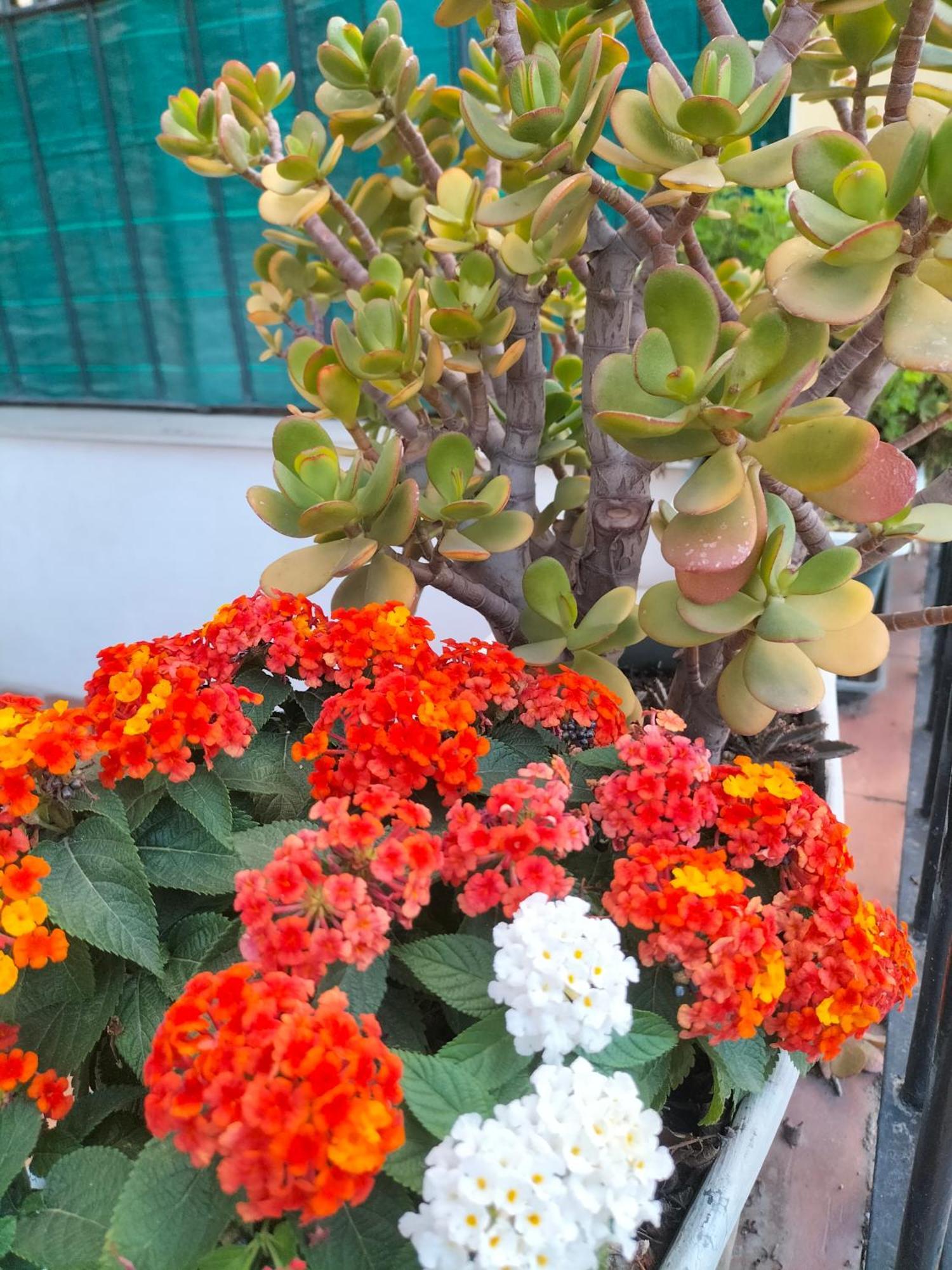 Apartamento Ciuridda Mia Palermo Exterior foto